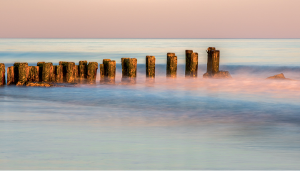 Fred Ballet Sun Soaked Pilings